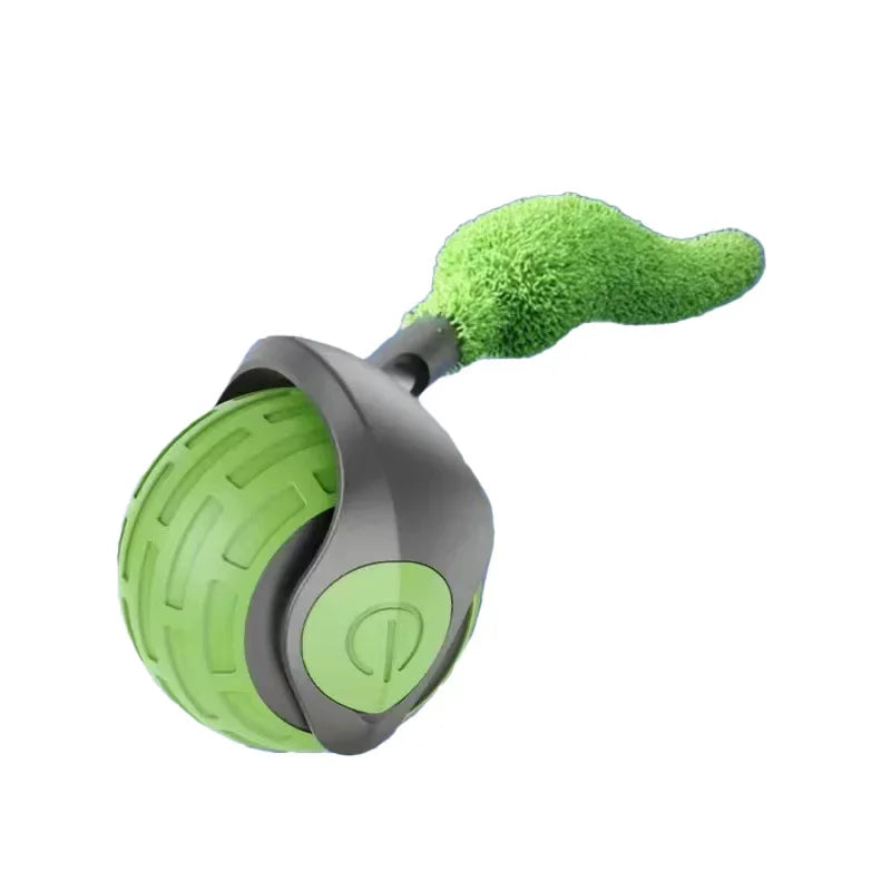 WhiskerSpin
