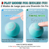 MeowMotion Ball