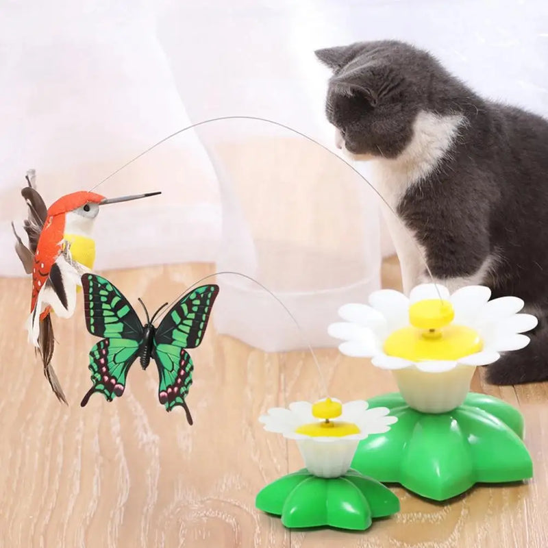 KittyTwirl