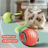 WhiskerSpin