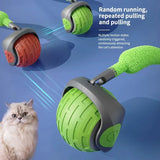 WhiskerSpin