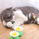 KittyTwirl
