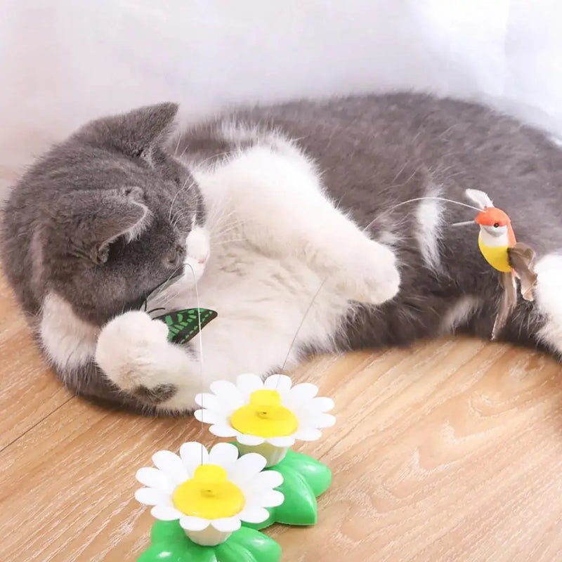 KittyTwirl