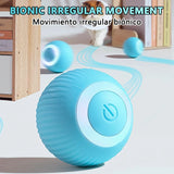 MeowMotion Ball