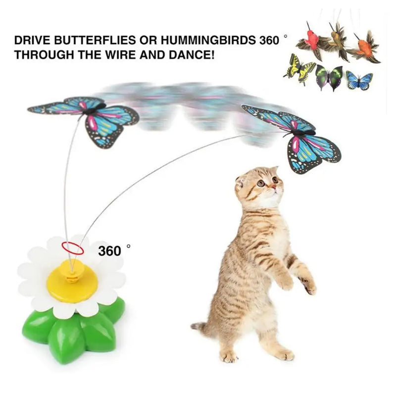 KittyTwirl